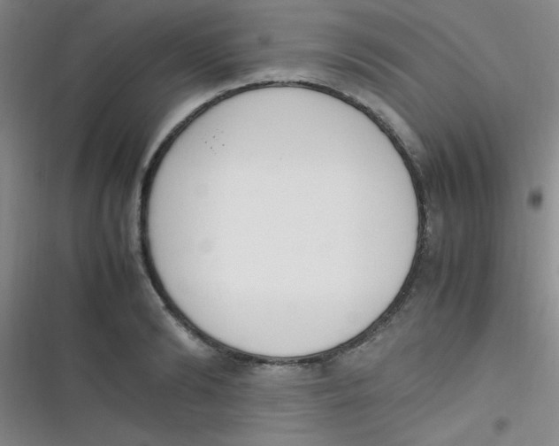 X0000116820894201001081414