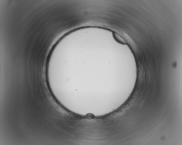 X0000116820896201001081414