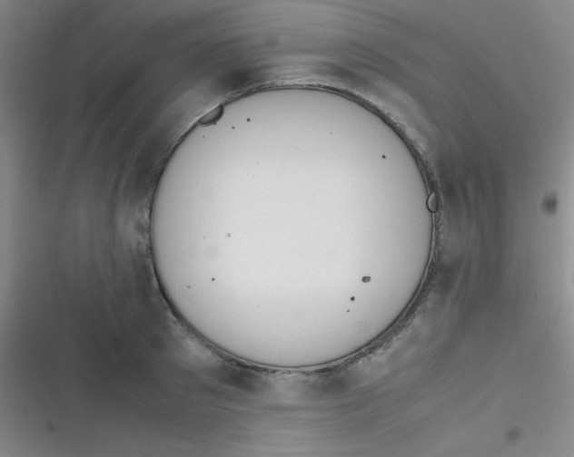 X0000116820897201001081414