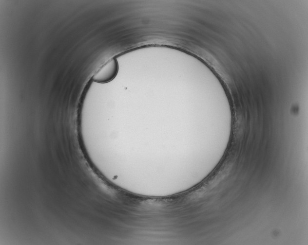 X0000116820898201001081414