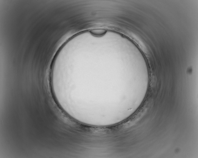 X0000116820899201001081414