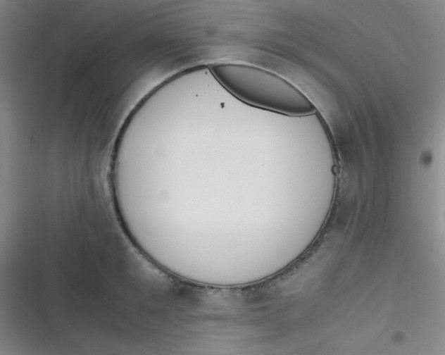 X0000116820901201001081414