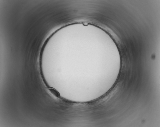 X0000116820902201001081414