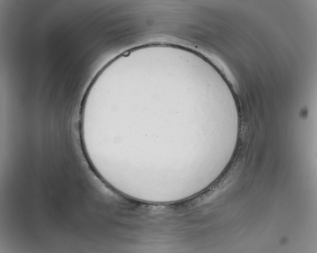 X0000116820903201001081414