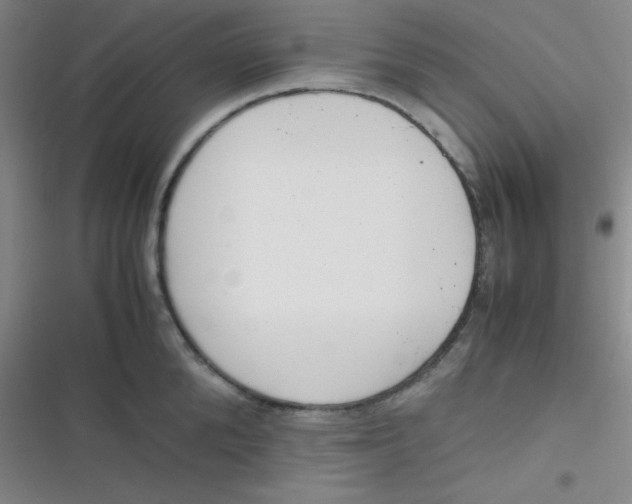 X0000116820904201001081414