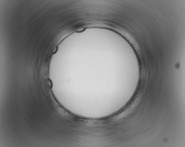 X0000116820905201001081414