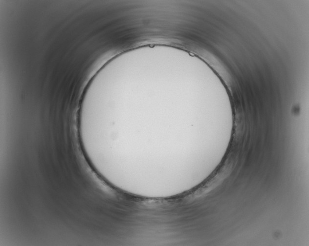 X0000116820906201001081414