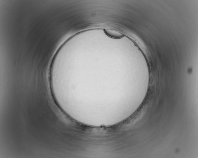 X0000116820907201001081414