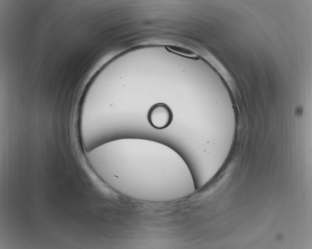 X0000116820909201001081414