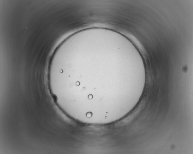 X0000116820910201001081414