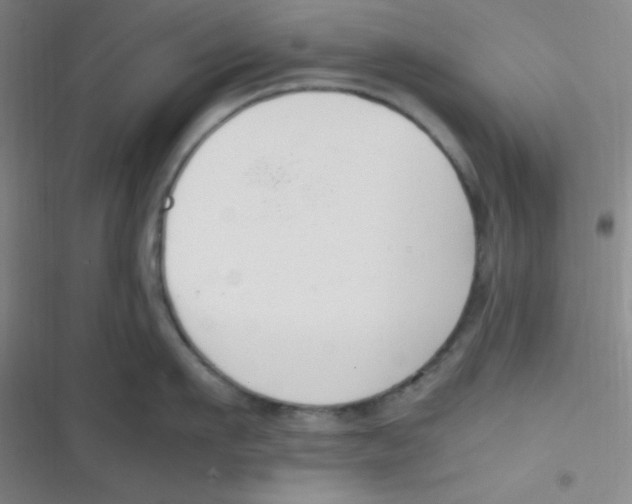 X0000116820911201001081414