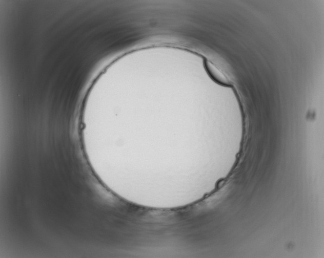 X0000116820912201001081414