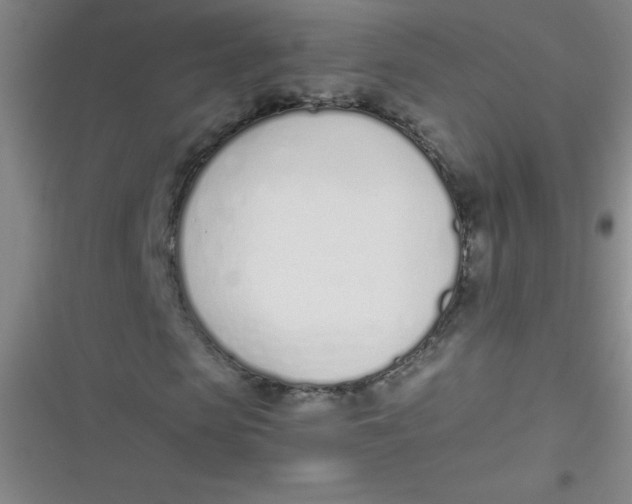 X0000116820913201001081413