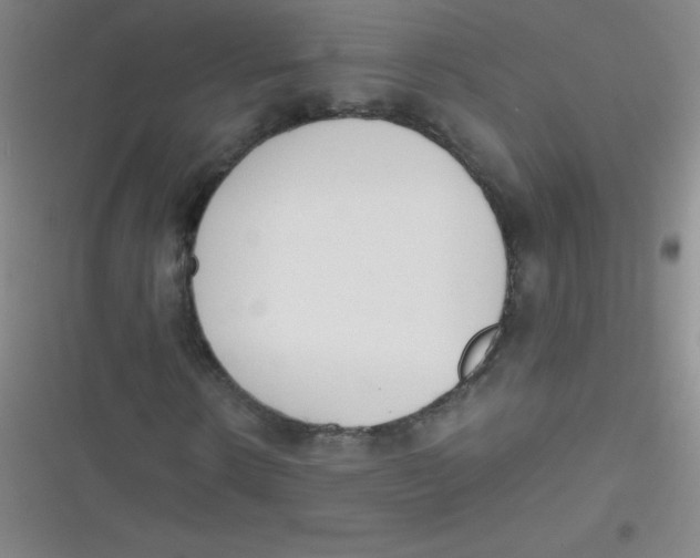 X0000116820914201001081413