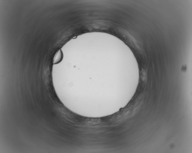 X0000116820915201001081413