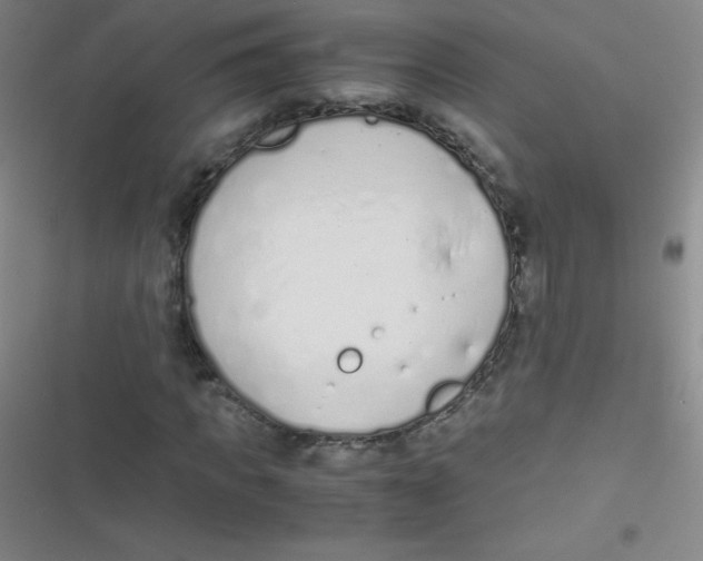 X0000116820917201001081413