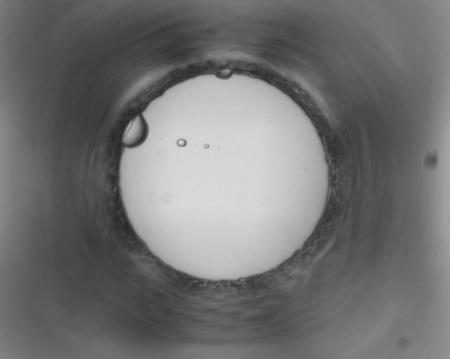 X0000116820919201001081413