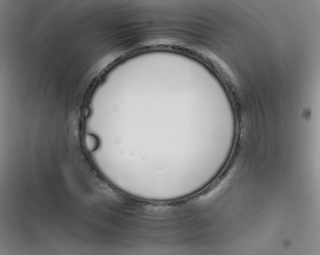 X0000116820921201001081413