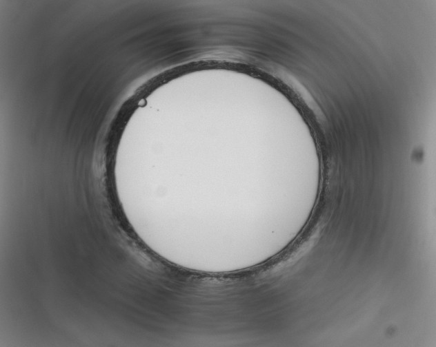 X0000116820923201001081413