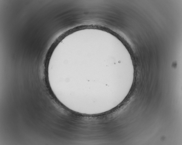 X0000116820927201001081414