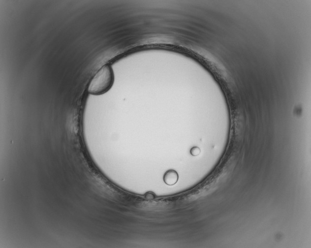 X0000116820929201001081414