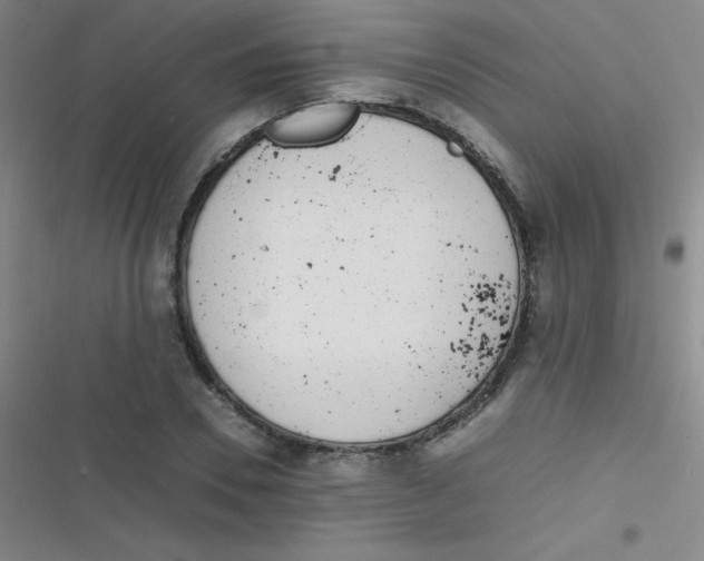 X0000116820930201001081414