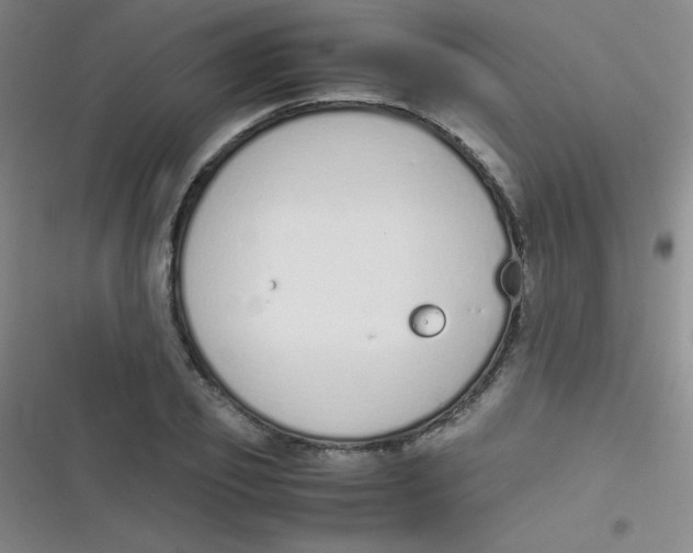 X0000116820933201001081414