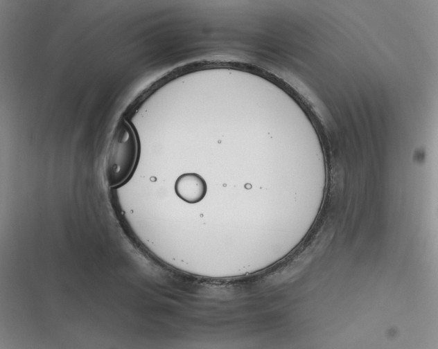 X0000116820935201001081414