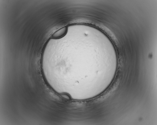 X0000116820937201001081414