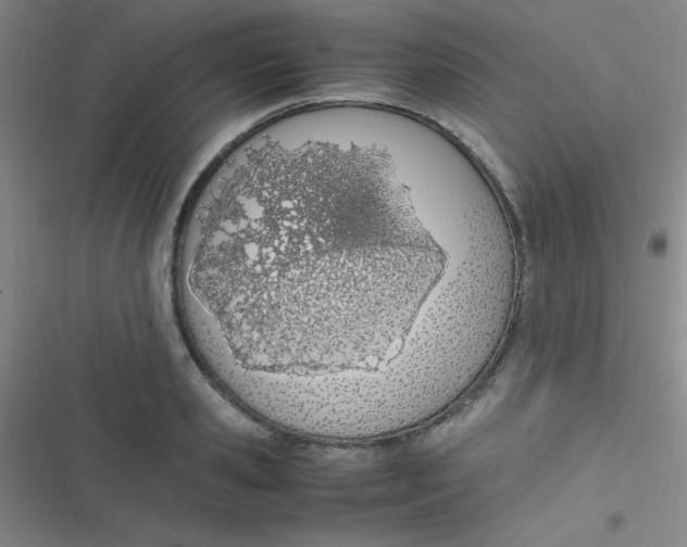 X0000116820941201001081414