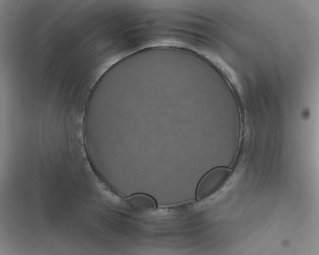 X0000116820945201001081414