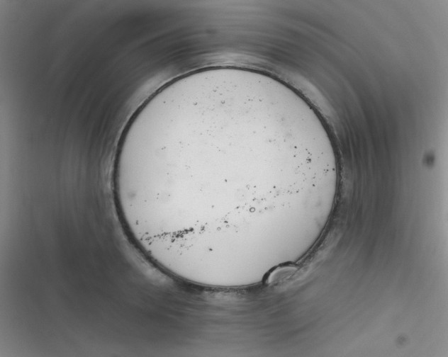 X0000116820946201001081414