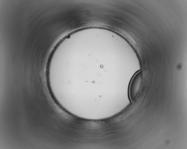 X0000116820947201001081414