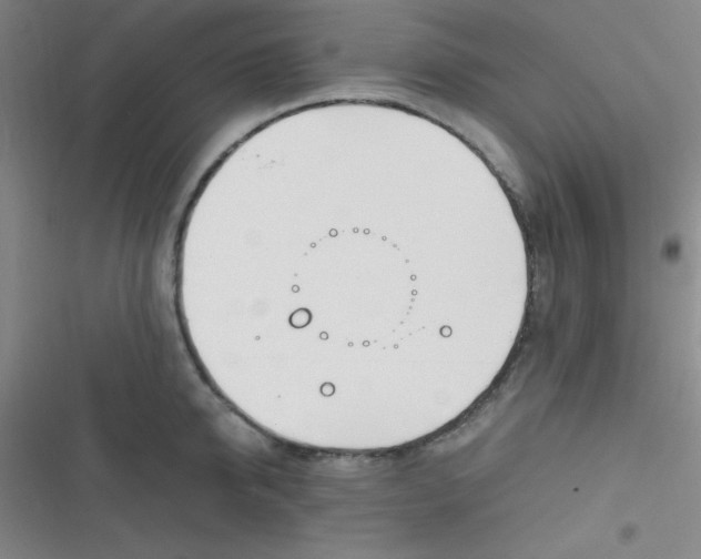 X0000116820950201001081414