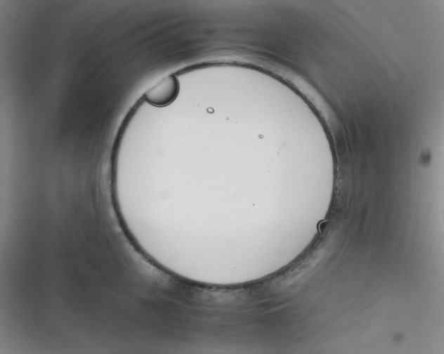 X0000116820951201001081414