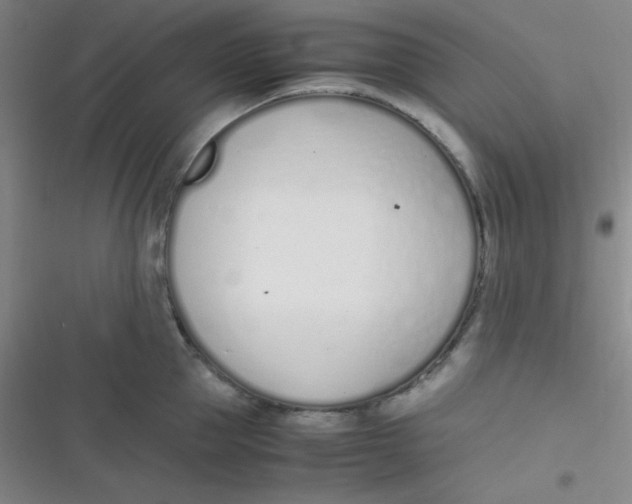 X0000116820953201001081414