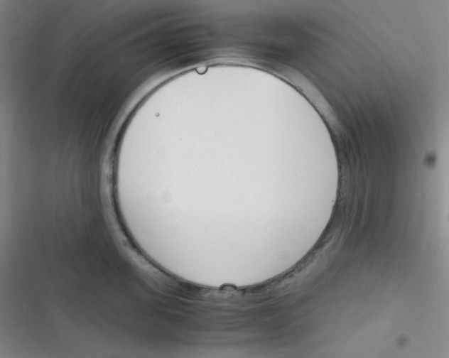 X0000116820955201001081414