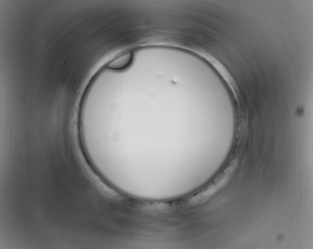 X0000116820957201001081414