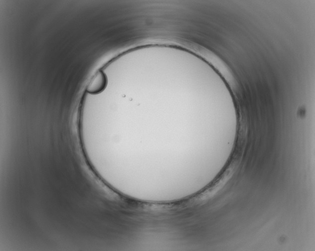 X0000116820958201001081414