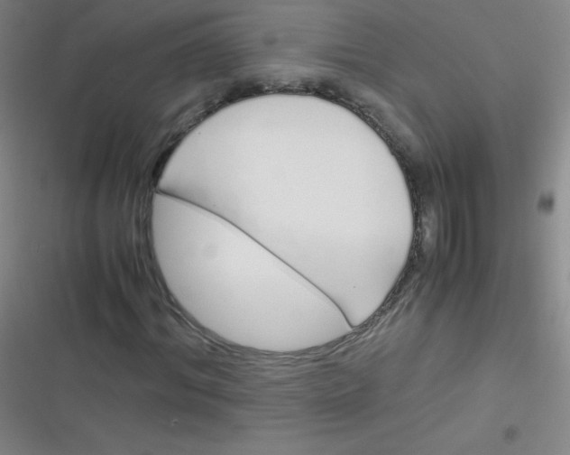 X0000116820964201001081413