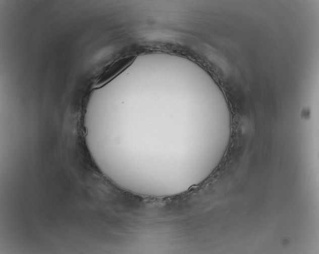 X0000116820965201001081413