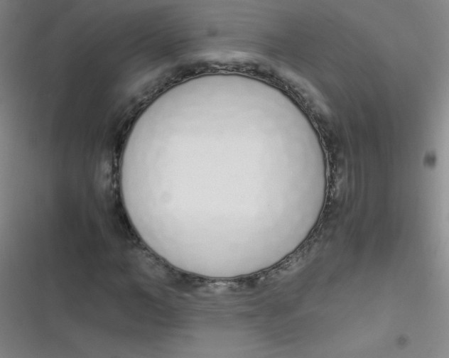 X0000116820966201001081413