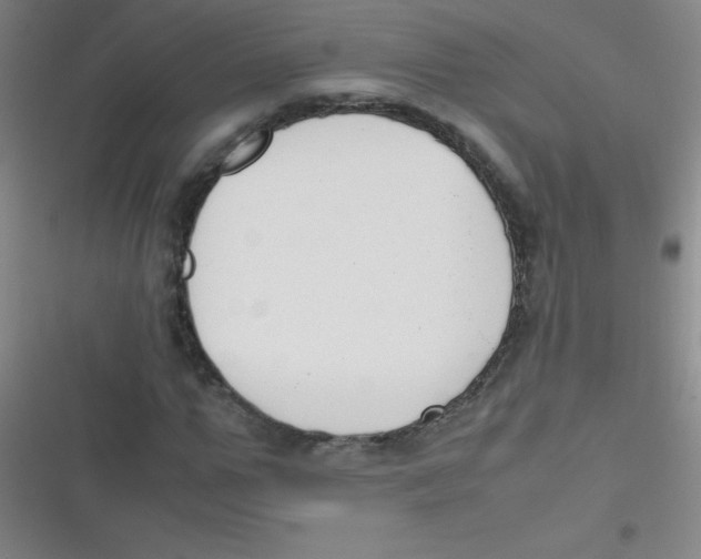 X0000116820967201001081413