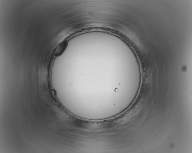 X0000116820969201001081413