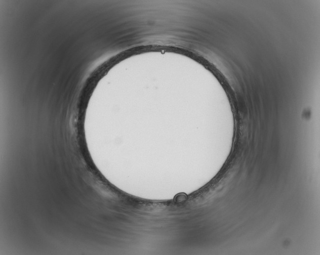 X0000116820971201001081413