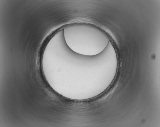 X0000116820973201001081413