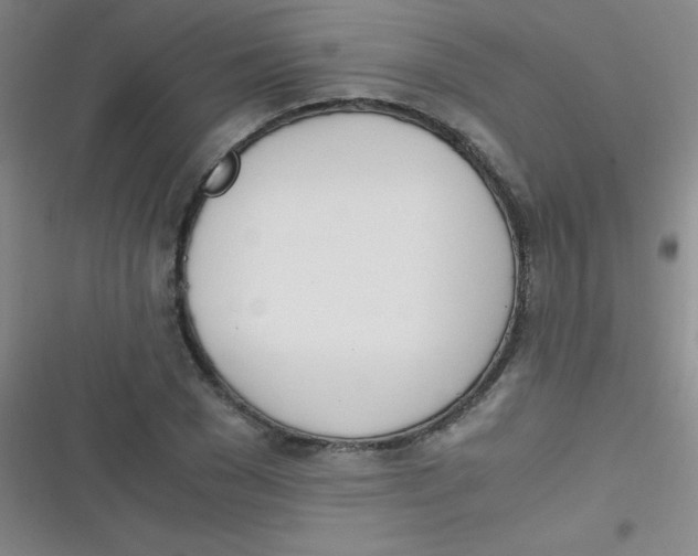 X0000116820977201001081413