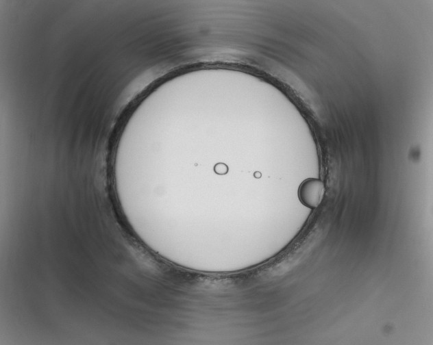 X0000116820978201001081413