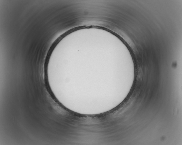 X0000116820980201001081413