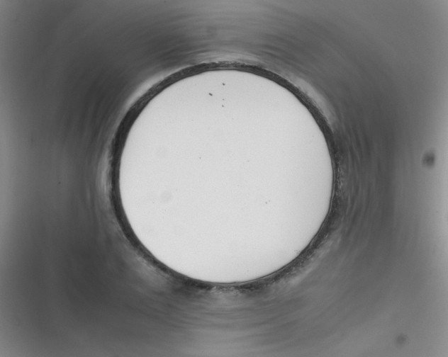 X0000116820983201001081413